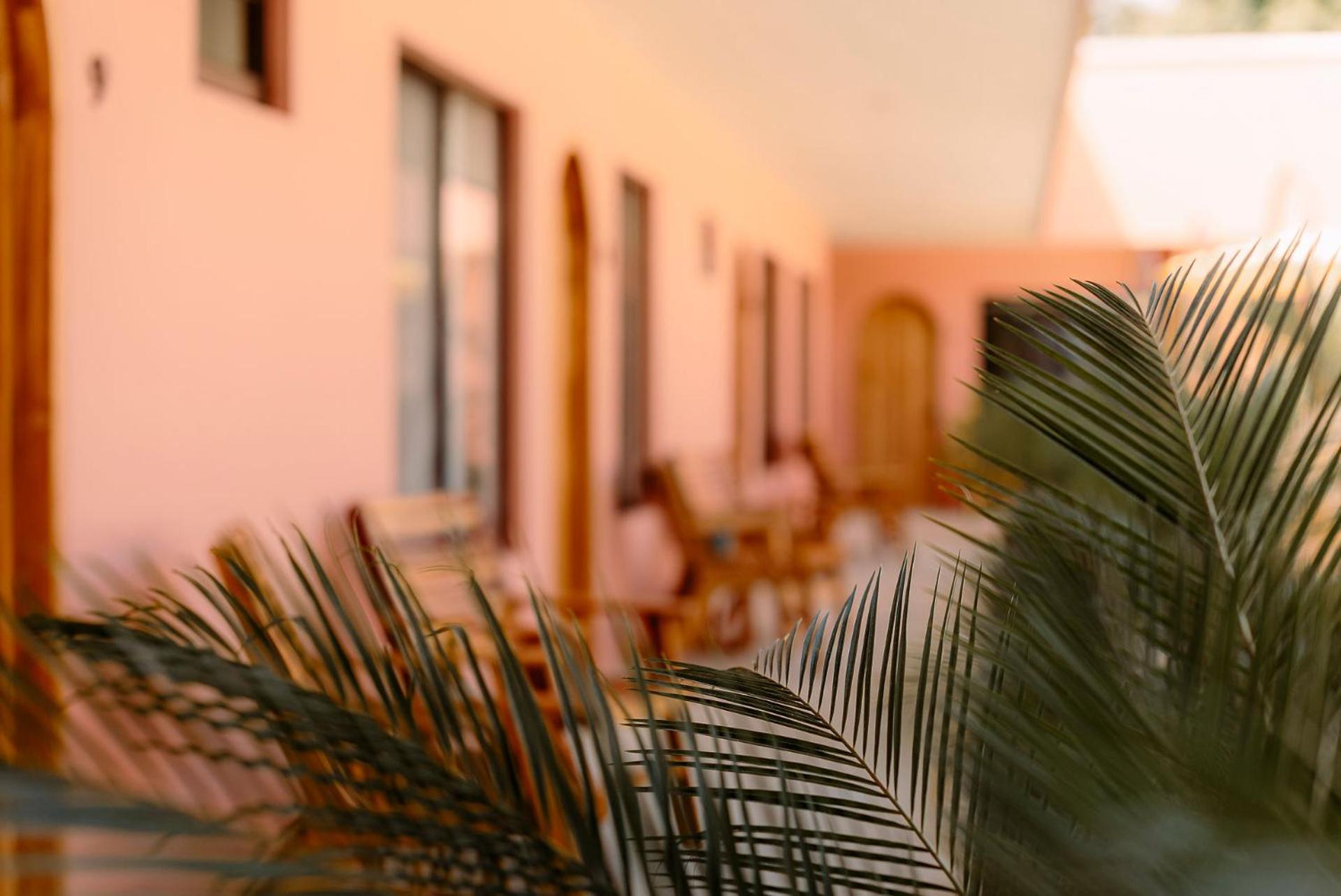 Hotel Amavi Хако Экстерьер фото